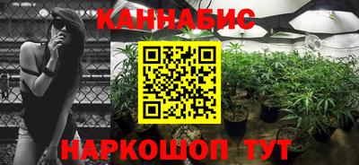 a pvp Новозыбков