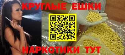 a pvp Новозыбков