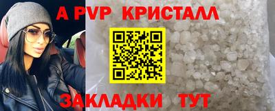 a pvp Новозыбков