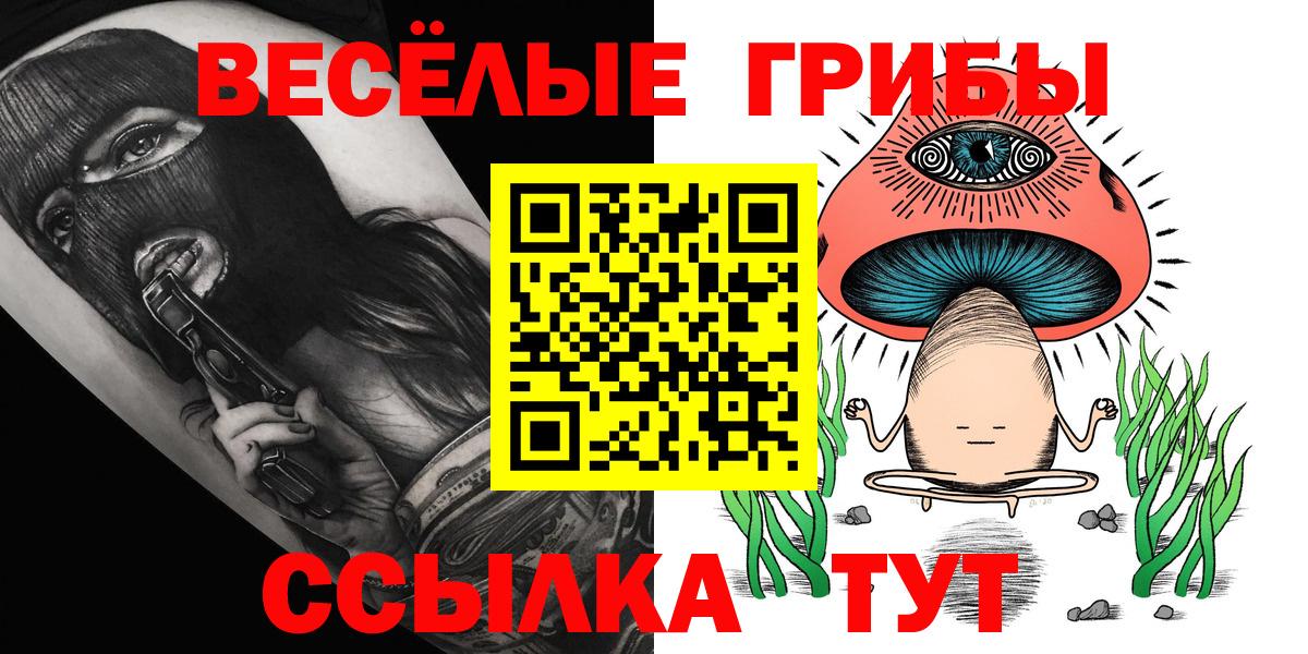 Галлюциногенные грибы Psilocybe  Галлюциногенные грибы мицелий  Унеча  продажа наркотиков  Вход с VPN 