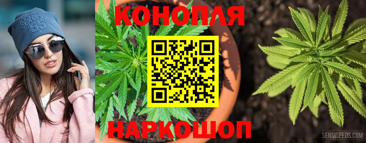 Бошки Шишки семена Унеча